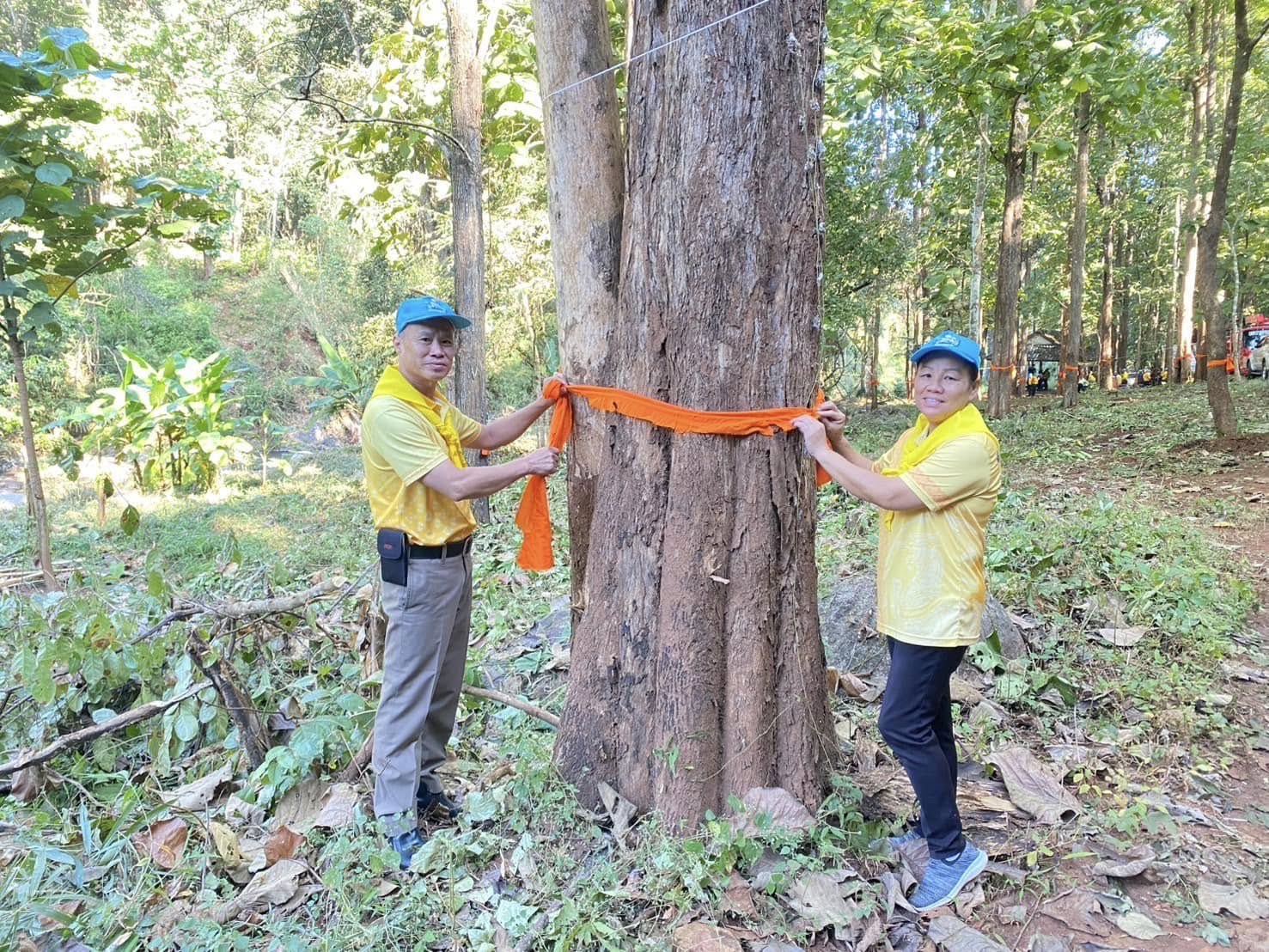 469197863_799760145609021_8902253920188549387_n