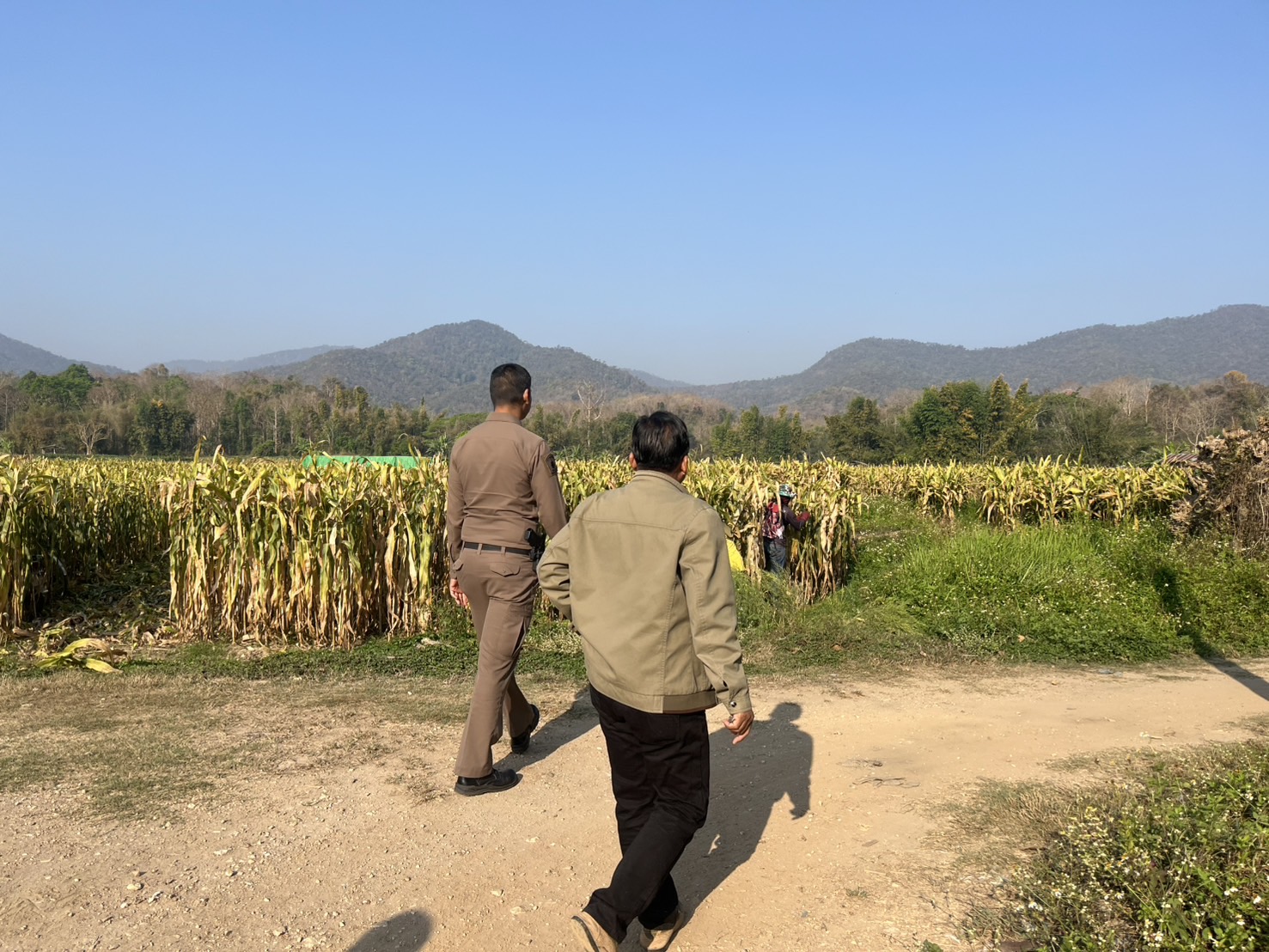 481799132_859619489623086_6162072436085942706_n